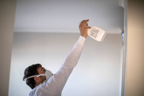 Trusted Salem Heights, OH Mold Remediation Experts